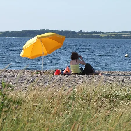 Dieseesucht - Am Fjord Westerholz